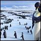 Happy Feet: rompiendo el hielo : photo George Miller