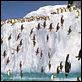 Happy Feet: rompiendo el hielo : photo George Miller