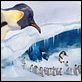 Happy Feet: rompiendo el hielo : photo George Miller