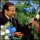 Más allá de los sueños : photo Robin Williams, Vincent Ward