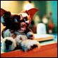Gremlins 2: La nueva generación : photo Joe Dante