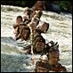 Apocalypto : photo Mel Gibson