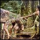 Apocalypto : photo Mel Gibson