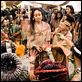 Apocalypto : photo Mel Gibson