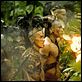 Apocalypto : photo Mel Gibson