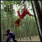 DOA: Dead or alive : photo Corey Yuen, Devon Aoki, Natassia Malthe