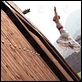 DOA: Dead or alive : photo Corey Yuen