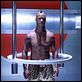 DOA: Dead or alive : photo Brian J. White, Corey Yuen