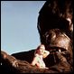 King Kong : photo Jessica Lange, John Guillermin