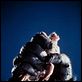 King Kong : photo Jessica Lange, John Guillermin