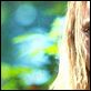 La cosecha : photo AnnaSophia Robb, Stephen Hopkins
