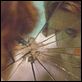 Stay Alive : photo Jon Foster, William Brent Bell