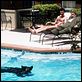 Borat: El segundo mejor reportero del glorioso país Kazajistán viaja a América : photo Larry Charles, Sacha Baron Cohen