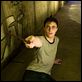 Harry Potter y la Orden del Fénix : photo Daniel Radcliffe, David Yates