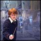 Harry Potter y la Orden del Fénix : photo David Yates, Rupert Grint
