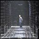 Harry Potter y la Orden del Fénix : photo Daniel Radcliffe, David Yates