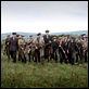 El viento que agita la cebada : photo Ken Loach