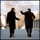 Mi mejor amigo : photo Daniel Auteuil, Dany Boon, Patrice Leconte