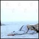photo Andrucha Waddington