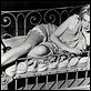 Baby Doll : photo Carroll Baker, Elia Kazan