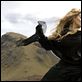 Stardust : photo Matthew Vaughn, Michelle Pfeiffer