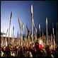 La maldición de la flor dorada : photo Zhang Yimou