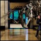 Noche en el museo : photo Ben Stiller, Shawn Levy