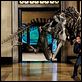 Noche en el museo : photo Ben Stiller, Shawn Levy
