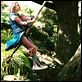 Un puente hacia Terabithia : photo AnnaSophia Robb, Gabor Csupo