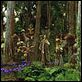 Un puente hacia Terabithia : photo Gabor Csupo