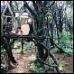 Un puente hacia Terabithia : photo AnnaSophia Robb, Gabor Csupo, Josh Hutcherson