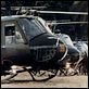 Apocalypse Now : photo Francis Ford Coppola