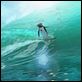 Locos por el surf : photo Ash Brannon, Chris Buck
