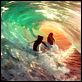 Locos por el surf : photo Ash Brannon, Chris Buck