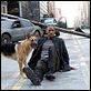 Soy leyenda : photo Francis Lawrence, Will Smith