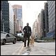 Soy leyenda : photo Francis Lawrence, Will Smith