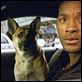 Soy leyenda : photo Francis Lawrence, Will Smith