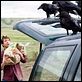 The Messengers : photo Dylan McDermott, Oxide Pang