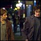 Cosas que perdimos en el fuego : photo Benicio Del Toro, David Duchovny, Susanne Bier