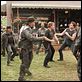 Cerdos salvajes (con un par... de ruedas) : photo Walt Becker