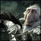 Cazadores de dragones