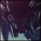 Aliens vs. Predator - Requiem : photo Colin Strause