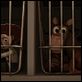 Toy Story 3 (3D)