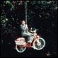 La gran aventura de Pee-Wee : photo Paul Reubens, Tim Burton