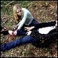 Cabeza de muerte (Fungus Mortalitas) : photo Jack Huston, Lindsey Haun, Paddy Breathnach