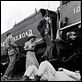 El tren de Bertha : photo Barbara Hershey, Barry Primus, Bernie Casey, Martin Scorsese