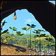 Bichos, una aventura en miniatura : photo Andrew Stanton, John Lasseter