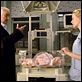 Promesas del este : photo Armin Mueller-Stahl, David Cronenberg, Naomi Watts