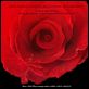 El amor en los tiempos del cólera : poster Mike Newell