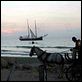 El amor en los tiempos del cólera : photo Mike Newell